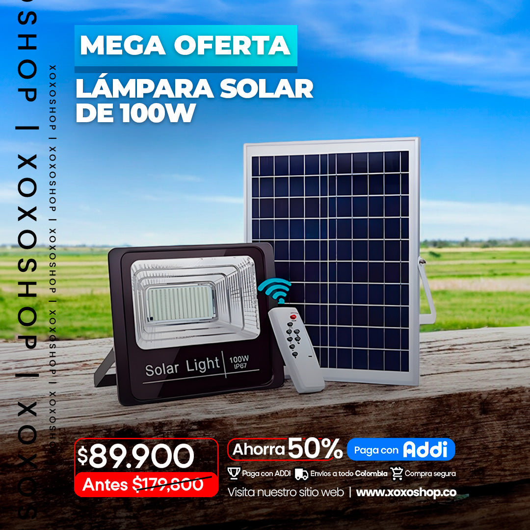 PaneL solar de 100w