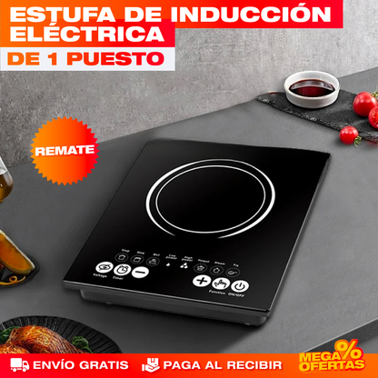 ESTUFA DE INDUCCIÓN ELÉCTRICA