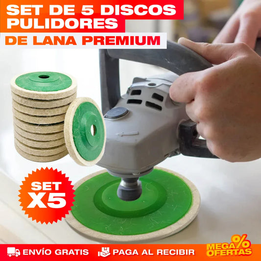 SET DE 5 DISCOS PULIDORES DE LANA