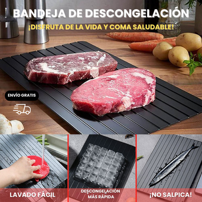 BANDEJA DE DESCONGELACIÓN RÁPIDA