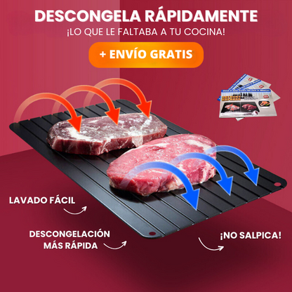 BANDEJA DE DESCONGELACIÓN RÁPIDA