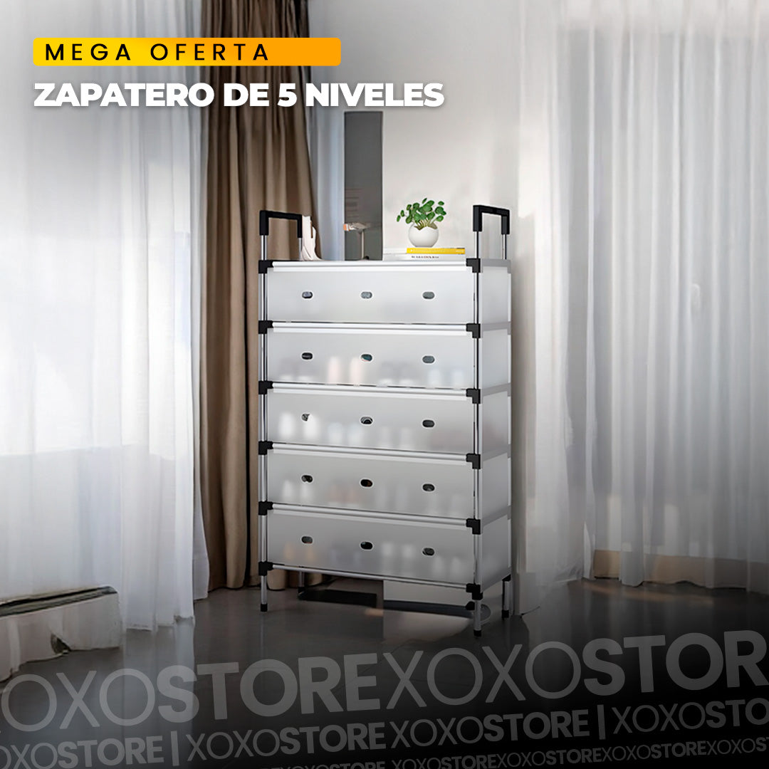 Organizador de zapatos con tapa 5 niveles